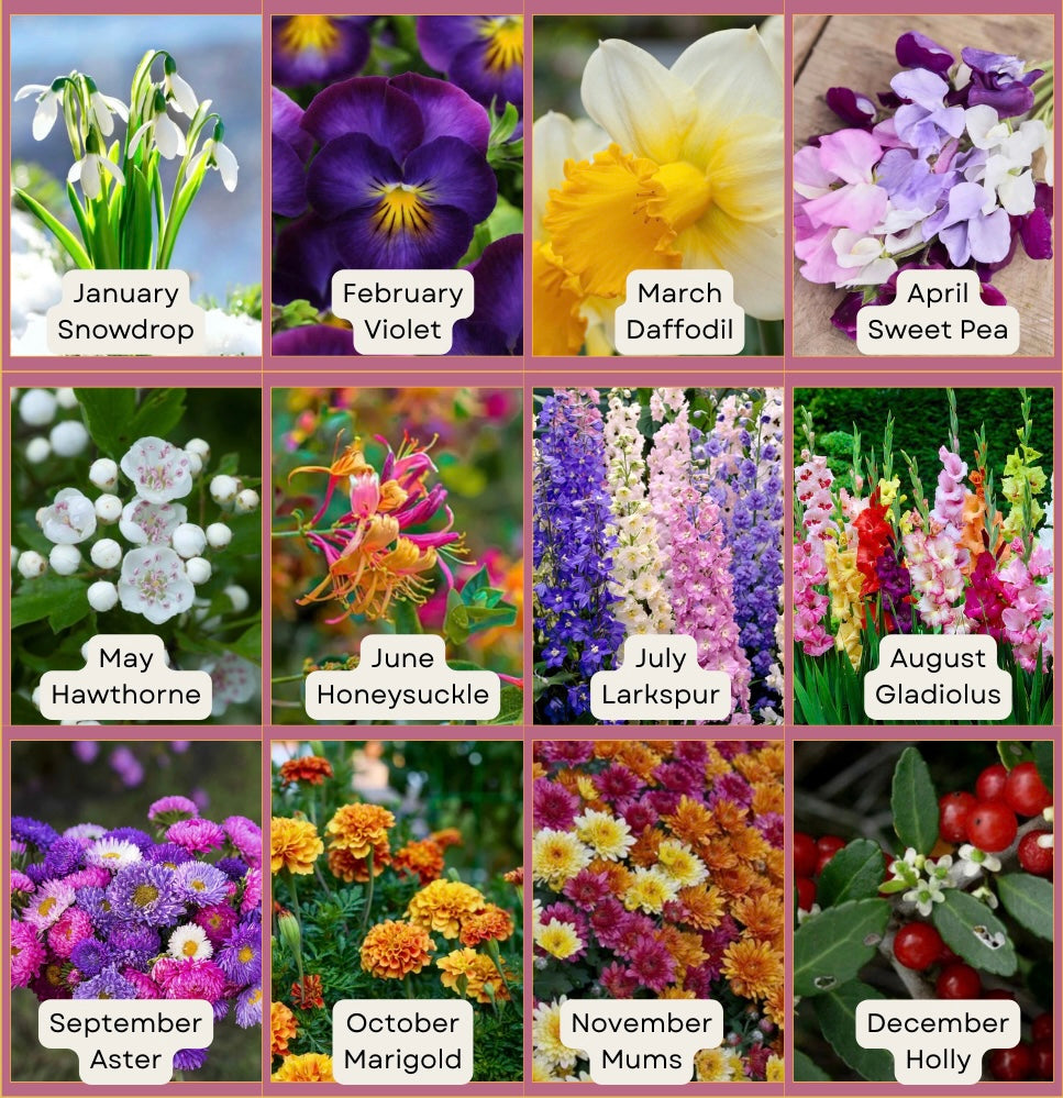 Full Year Birth Month Flower