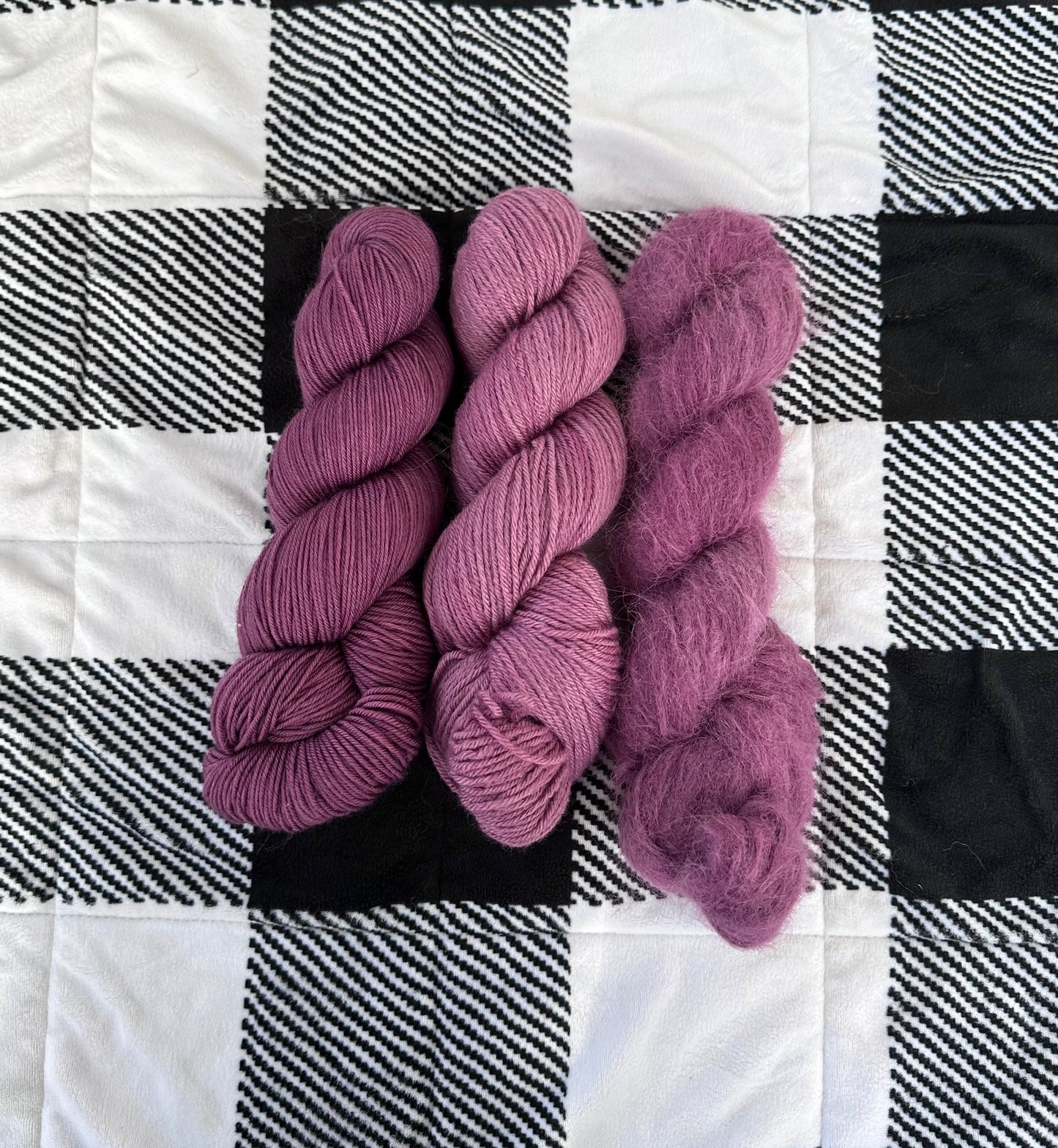 Plum (Preorder)